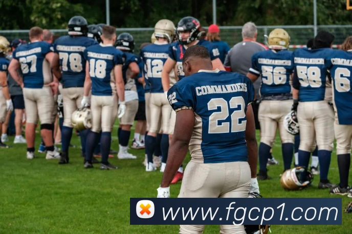 平台展示图